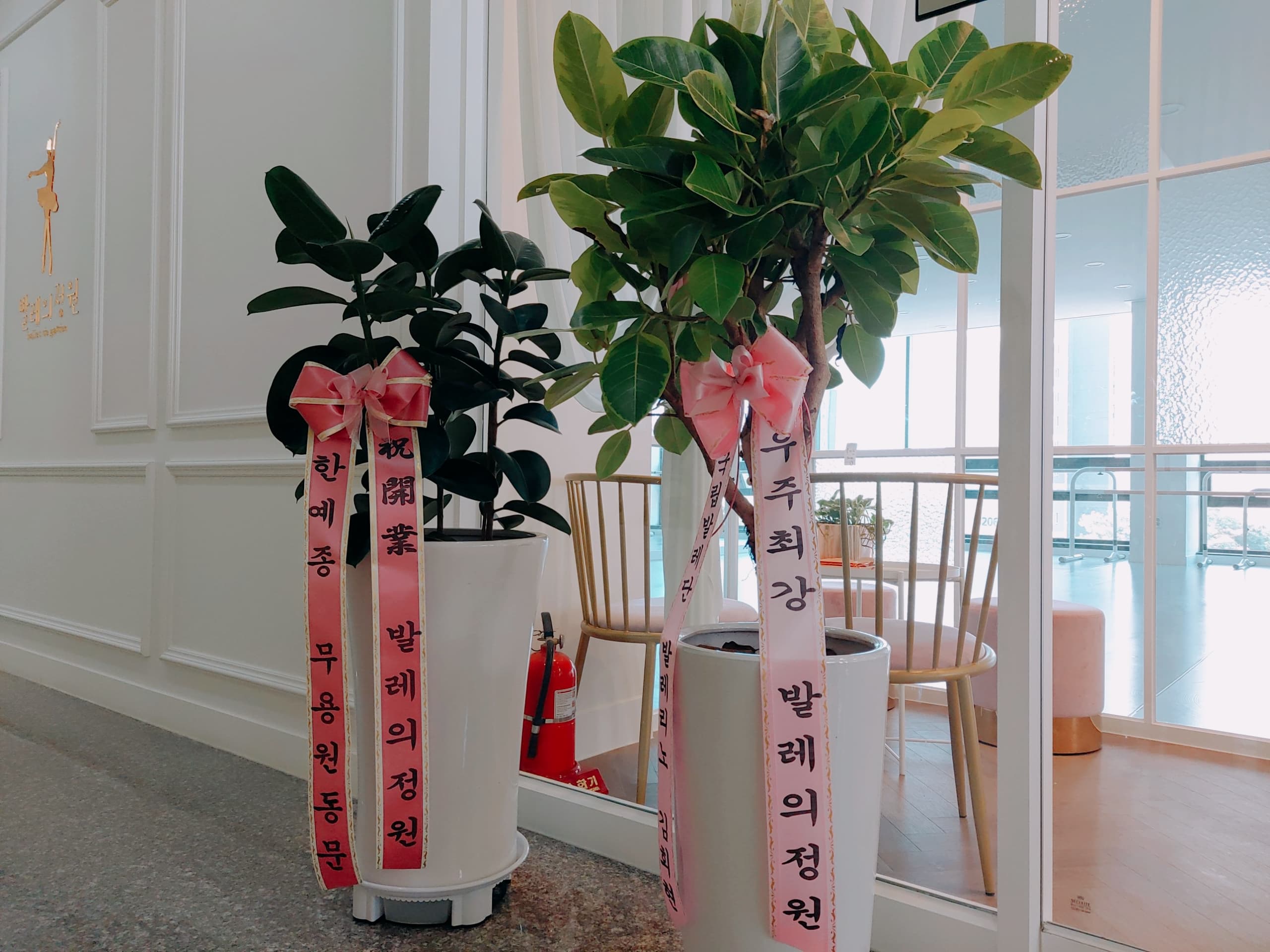 발레의정원 무용학원 사진 9
