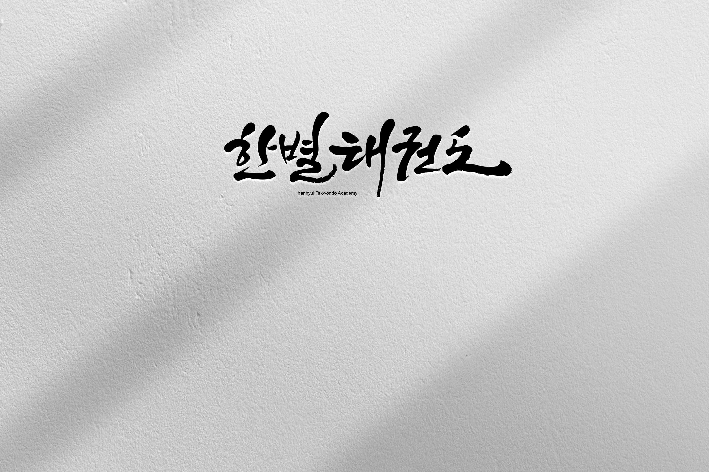 한별 태권도 사진 2