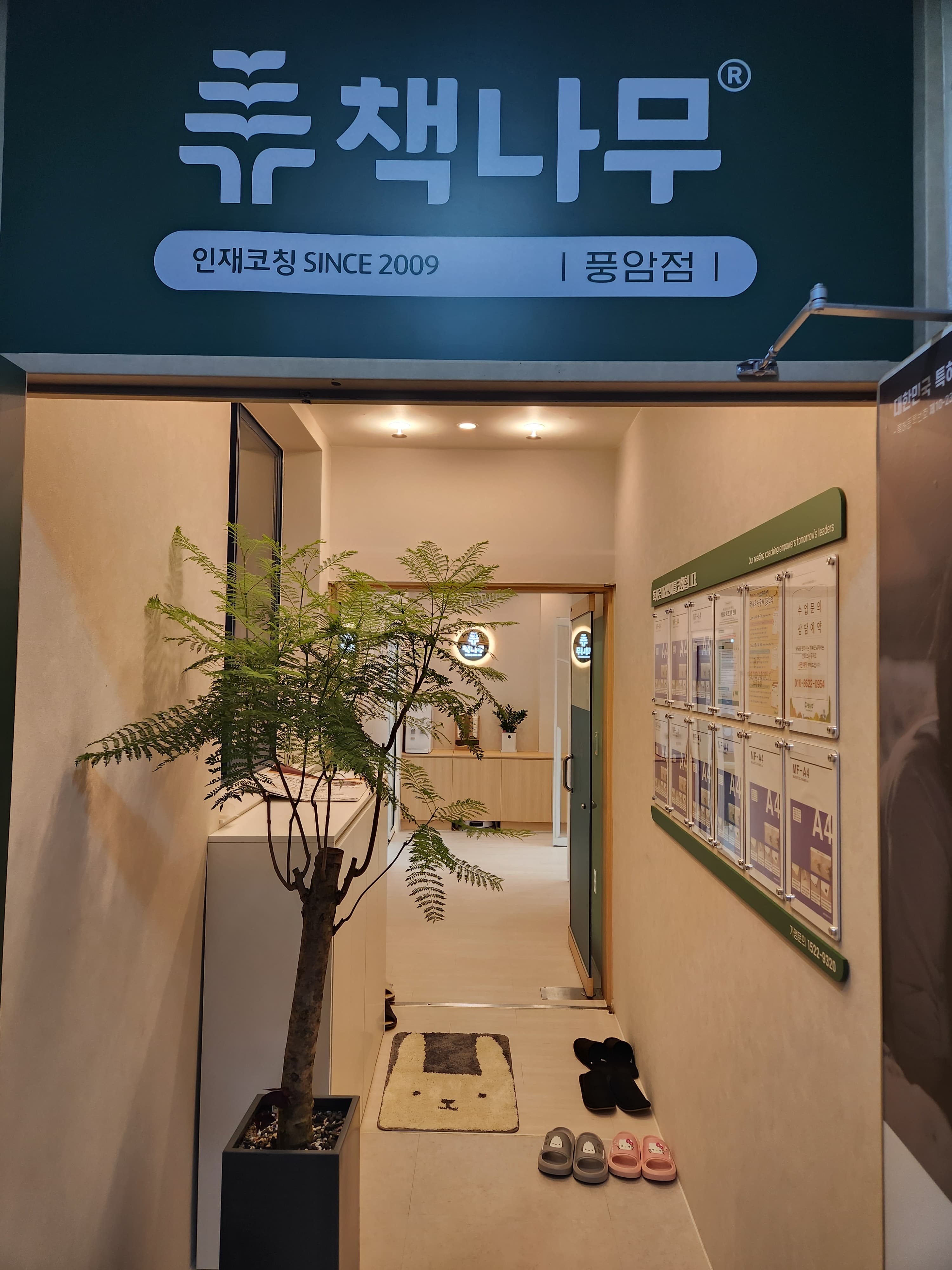 책나무 광주풍암점 사진 2