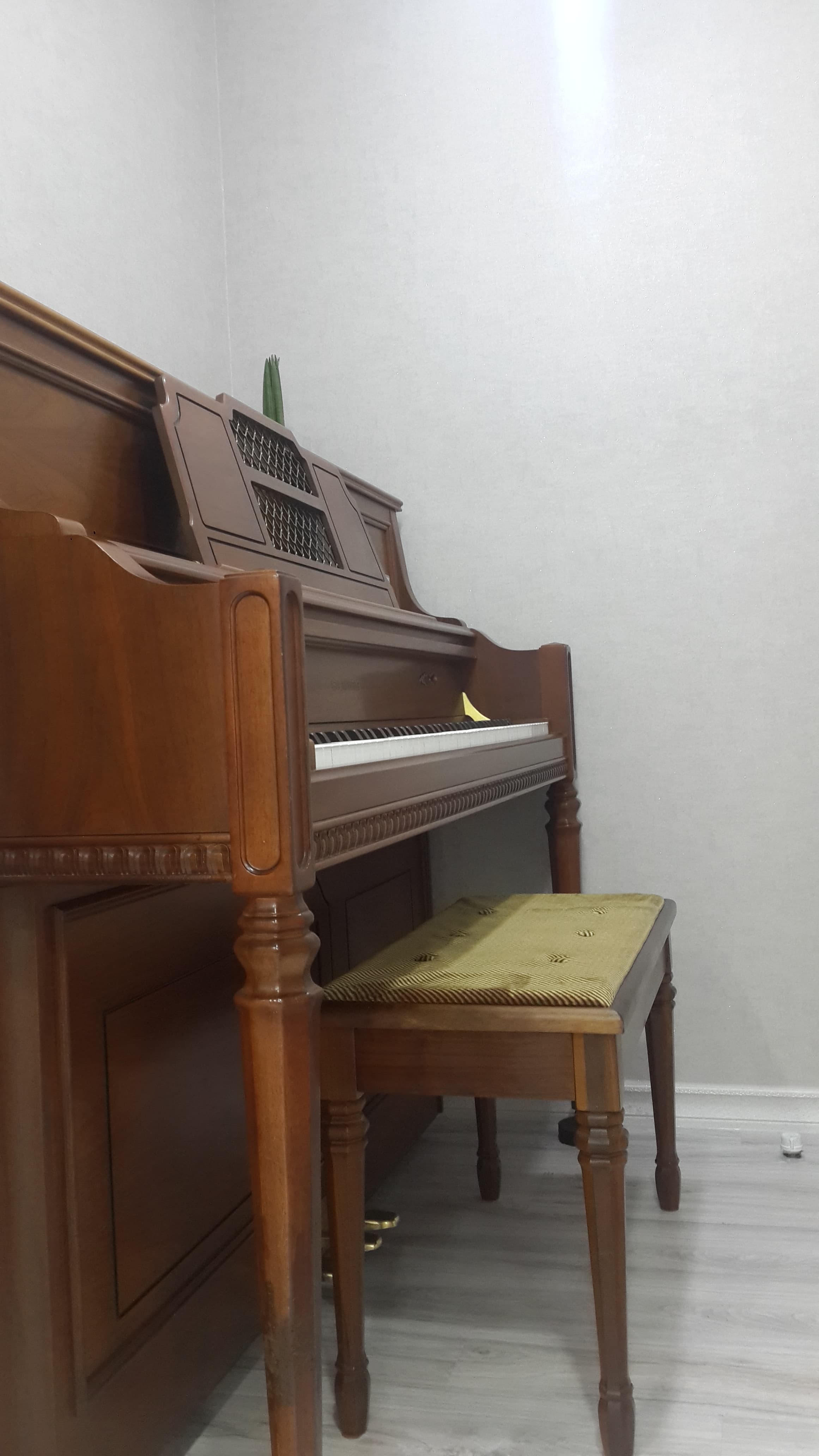 김예지피아노스튜디오 사진 2