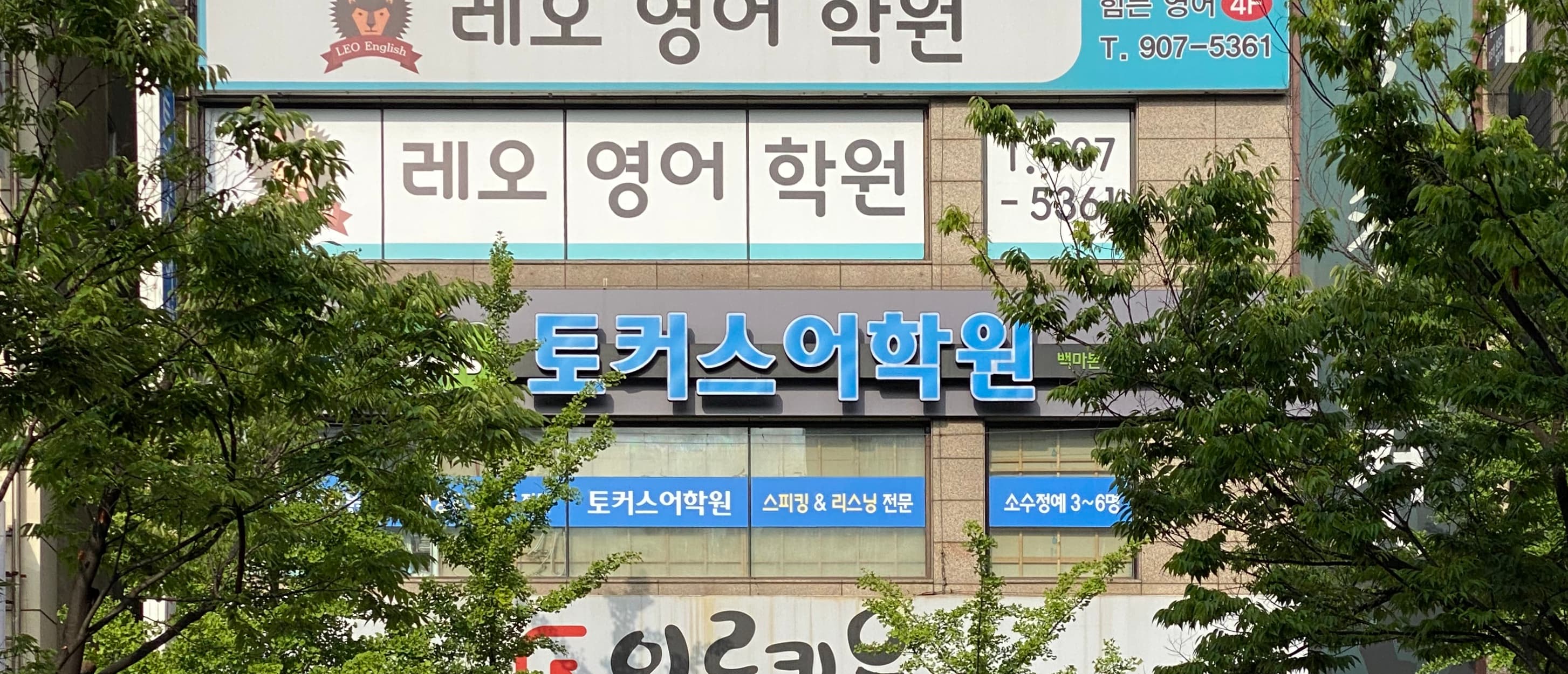 토커스 어학원 백마본원 사진 6